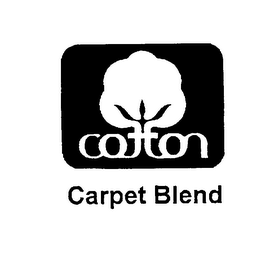 COTTON CARPET BLEND