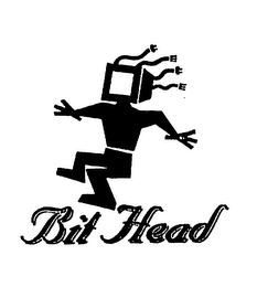 BIT HEAD