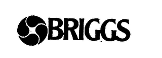 BRIGGS