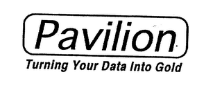 PAVILION TURNING YOUR DATA INTO GOLD