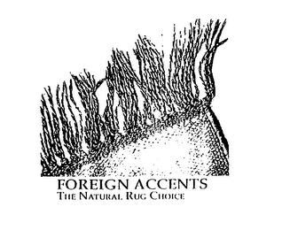 FOREIGN ACCENTS THE NATURAL RUG CHOICE