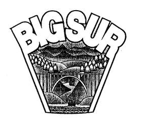 BIGSUR