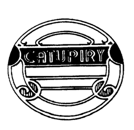 CATUPIRY