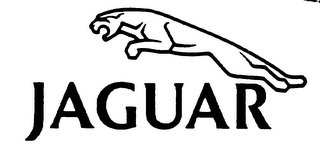 JAGUAR