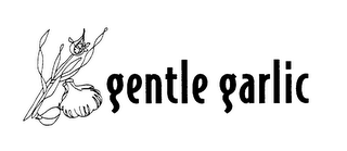 GENTLE GARLIC