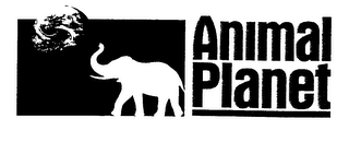 ANIMAL PLANET