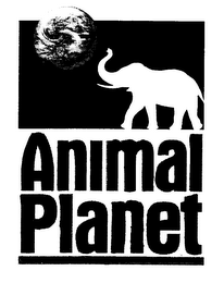 ANIMAL PLANET