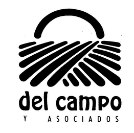 DEL CAMPO Y ASOCIADOS