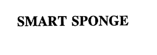 SMART SPONGE