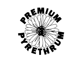 PREMIUM PYRETHRUM