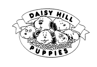 DAISY HILL PUPPIES