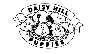 DAISY HILL PUPPIES