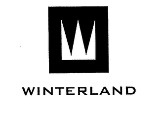 WINTERLAND