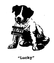 ALL SEASON PASS 98/99 AE PERFORMANCE "LUCKY"