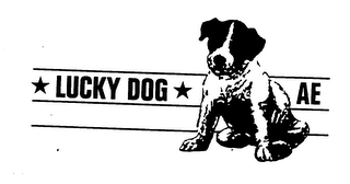 LUCKY DOG AE