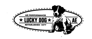 AE PERFORMANCE LUCKY DOG AE ESTABLISHED 1977