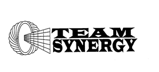 TEAM SYNERGY