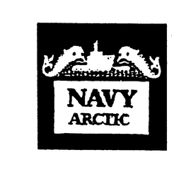 NAVY ARCTIC