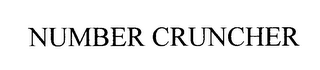 NUMBER CRUNCHER
