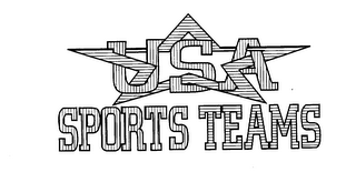 USA SPORTS TEAMS