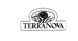 TERRANOVA