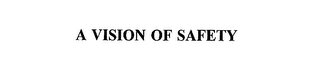 A VISION OF SAFETY