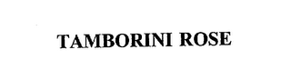 TAMBORINI ROSE
