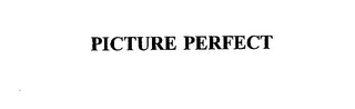 PICTURE PERFECT