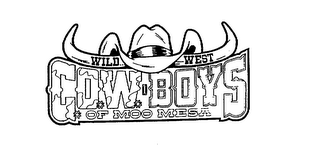 WILD WEST COWBOYS OF MOO MESA