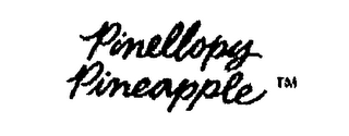 PINELLOPY PINEAPPLE