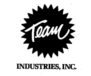 TEAM INDUSTRIES, INC.