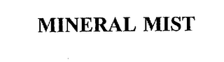 MINERAL MIST