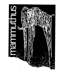 MAMMUTHUS
