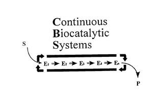 CONTINUOUS BIOCATALYTIC SYSTEMS S E1 E2 E3 E3 EN P