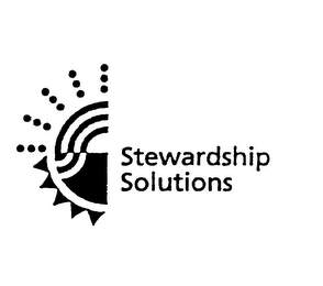 STEWARDSHIP SOLUTIONS