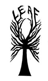 LEAF