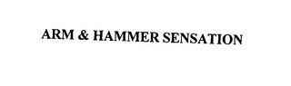 ARM & HAMMER SENSATION