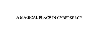 A MAGICAL PLACE IN CYBERSPACE