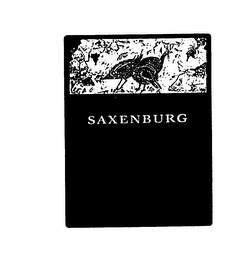 SAXENBURG