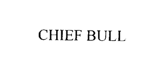 CHIEF BULL