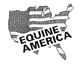 EQUINE AMERICA