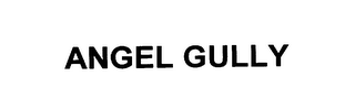 ANGEL GULLY