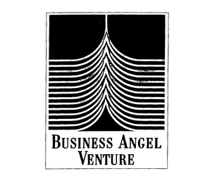 BUSINESS ANGEL VENTURE