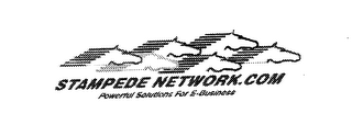 STAMPEDE NETWORK DOT COM POWERFUL SOLUTIONS FOR E-BUSINESS