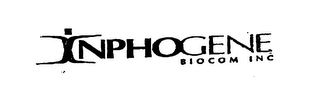 INPHOGENE BIOCOM INC