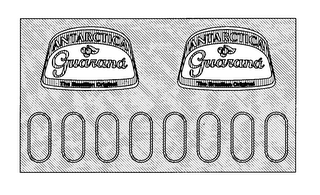 ANTARCTICA GUARANA THE BRAZILIAN ORIGINAL