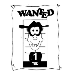 WANTED 3FT 2FT 1 TED