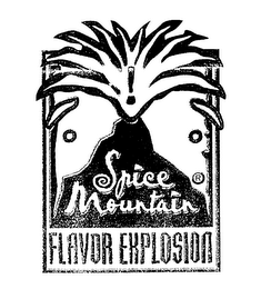 SPICE MOUNTAIN FLAVOR EXPLOSION