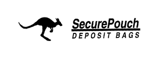 SECUREPOUCH DEPOSIT BAGS