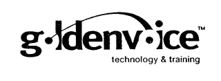 GOLDEN VOICE TECHNOLOGY & TRAINING